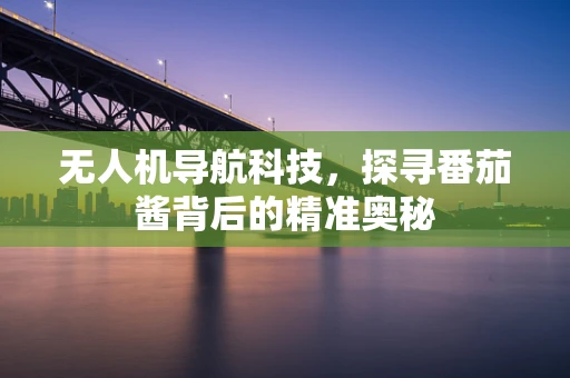 无人机导航科技，探寻番茄酱背后的精准奥秘