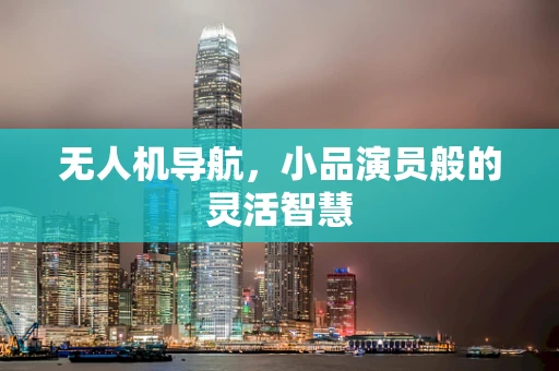 无人机导航，小品演员般的灵活智慧
