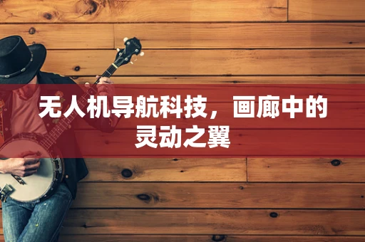 无人机导航科技，画廊中的灵动之翼