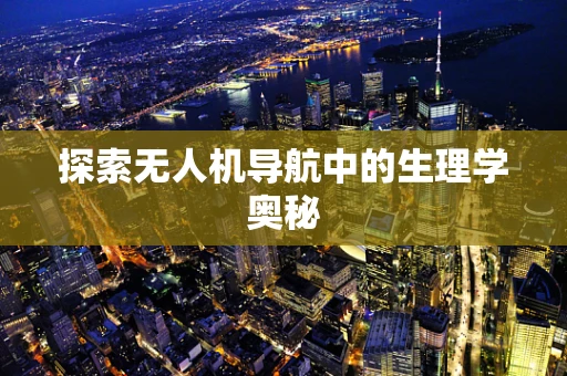 探索无人机导航中的生理学奥秘