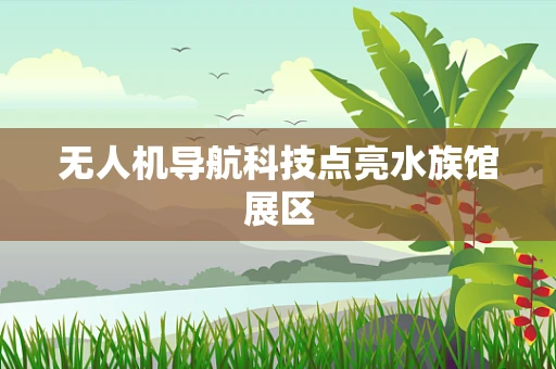 无人机导航科技点亮水族馆展区
