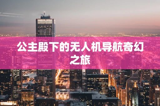 公主殿下的无人机导航奇幻之旅