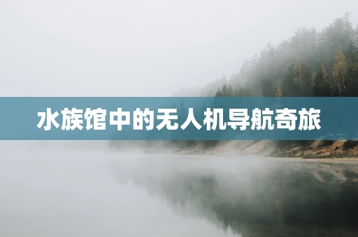 水族馆中的无人机导航奇旅