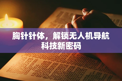 胸针针体，解锁无人机导航科技新密码