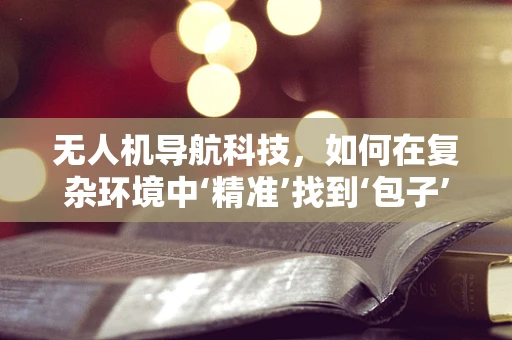 无人机导航科技，如何在复杂环境中‘精准’找到‘包子’？