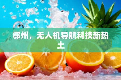 鄂州，无人机导航科技新热土