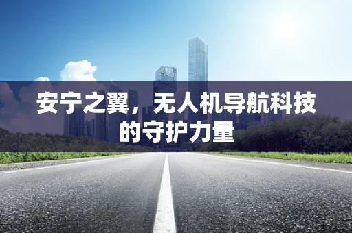 安宁之翼，无人机导航科技的守护力量