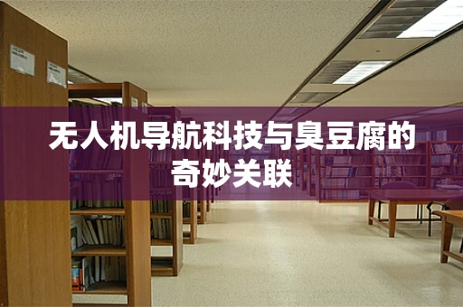 无人机导航科技与臭豆腐的奇妙关联