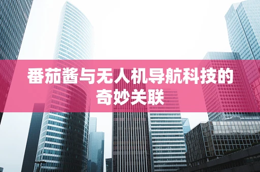 番茄酱与无人机导航科技的奇妙关联