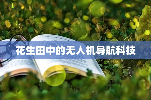 花生田中的无人机导航科技