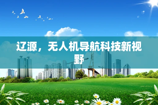 辽源，无人机导航科技新视野