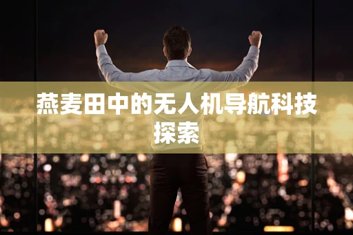 燕麦田中的无人机导航科技探索