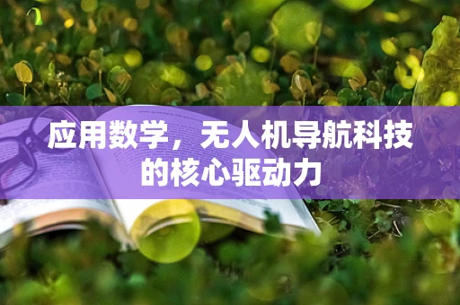 应用数学，无人机导航科技的核心驱动力