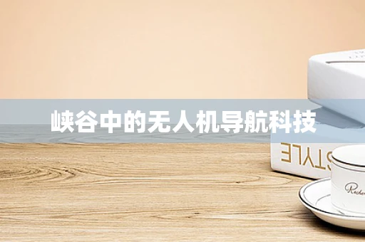 峡谷中的无人机导航科技