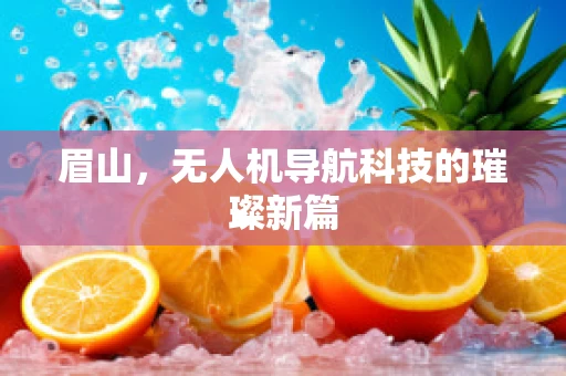 眉山，无人机导航科技的璀璨新篇