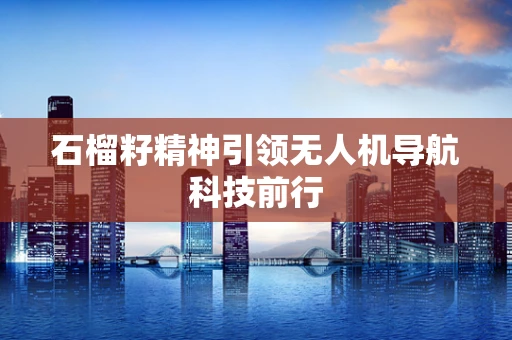 石榴籽精神引领无人机导航科技前行