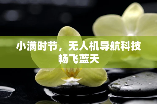小满时节，无人机导航科技畅飞蓝天