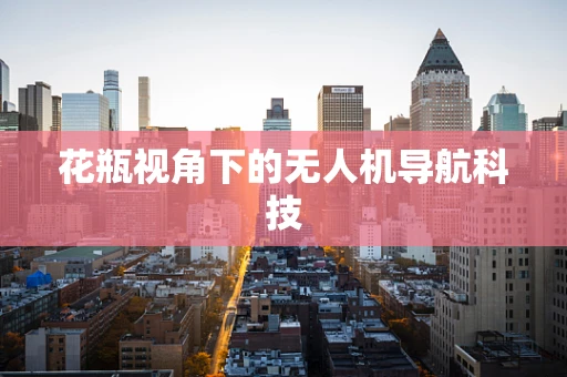 花瓶视角下的无人机导航科技
