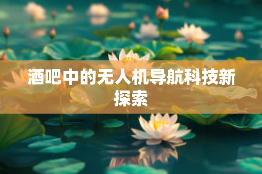 酒吧中的无人机导航科技新探索
