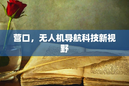 营口，无人机导航科技新视野