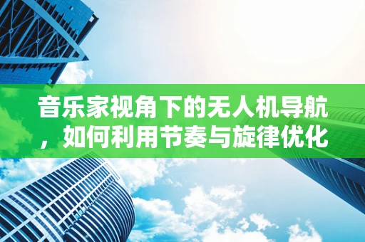 音乐家视角下的无人机导航，如何利用节奏与旋律优化飞行路径？