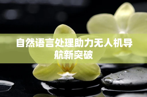自然语言处理助力无人机导航新突破