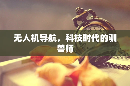 无人机导航，科技时代的驯兽师