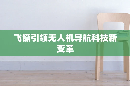 飞镖引领无人机导航科技新变革