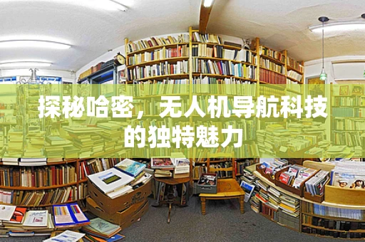 探秘哈密，无人机导航科技的独特魅力