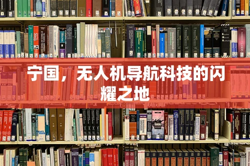 宁国，无人机导航科技的闪耀之地