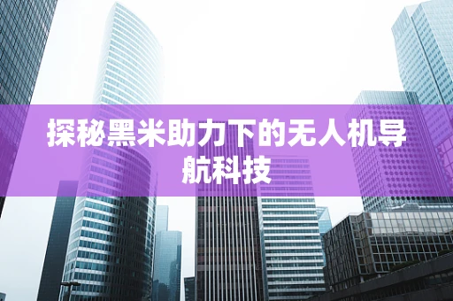 探秘黑米助力下的无人机导航科技