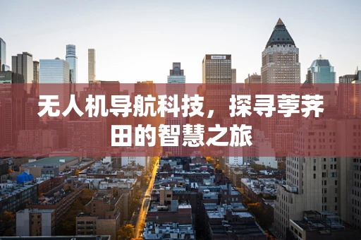 无人机导航科技，探寻荸荠田的智慧之旅
