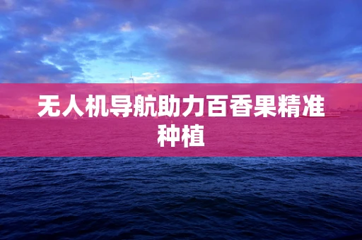 无人机导航助力百香果精准种植