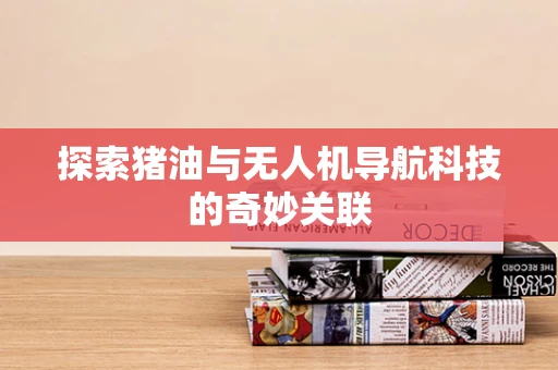 探索猪油与无人机导航科技的奇妙关联