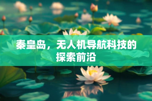 秦皇岛，无人机导航科技的探索前沿