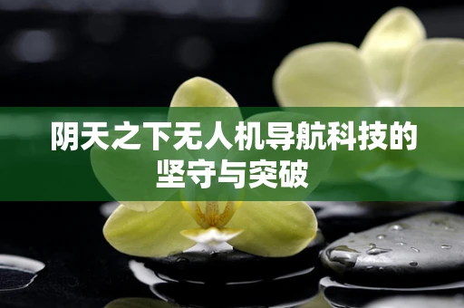 阴天之下无人机导航科技的坚守与突破
