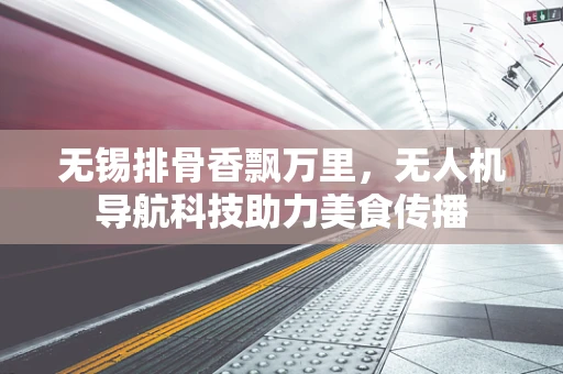 无锡排骨香飘万里，无人机导航科技助力美食传播