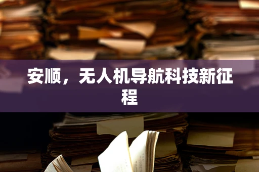 安顺，无人机导航科技新征程