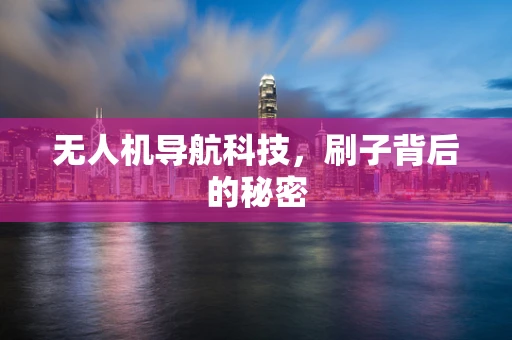 无人机导航科技，刷子背后的秘密