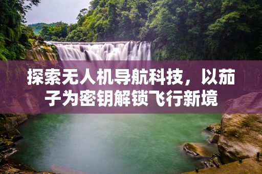 探索无人机导航科技，以茄子为密钥解锁飞行新境