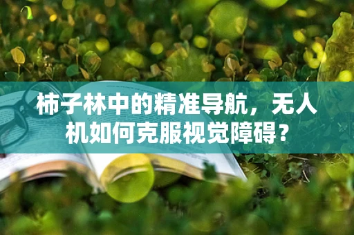 柿子林中的精准导航，无人机如何克服视觉障碍？