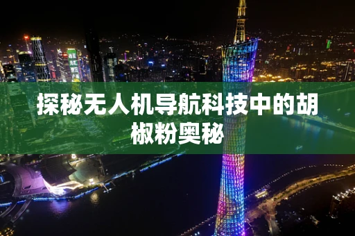 探秘无人机导航科技中的胡椒粉奥秘