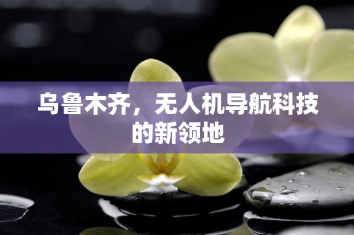 乌鲁木齐，无人机导航科技的新领地