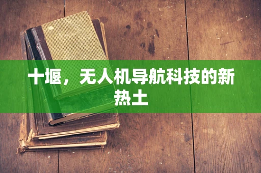 十堰，无人机导航科技的新热土