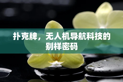 扑克牌，无人机导航科技的别样密码