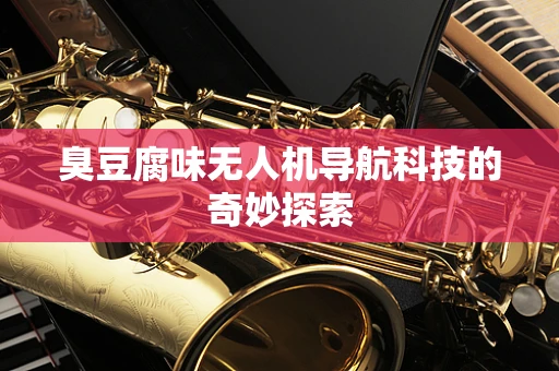 臭豆腐味无人机导航科技的奇妙探索