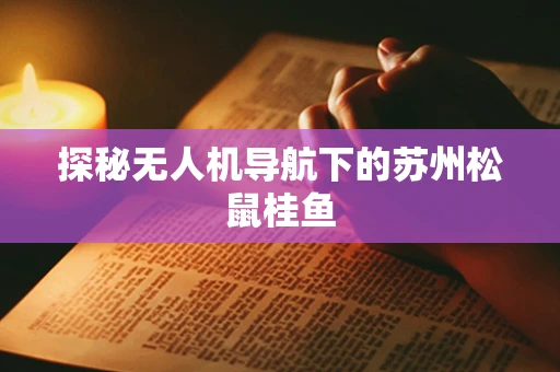 探秘无人机导航下的苏州松鼠桂鱼