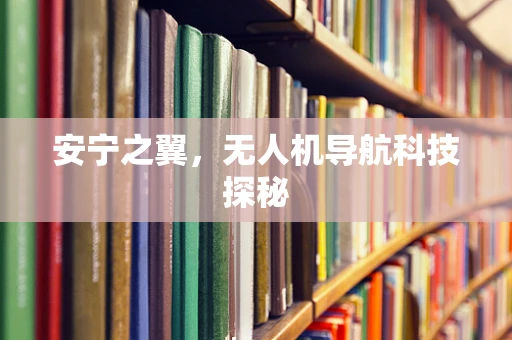 安宁之翼，无人机导航科技探秘