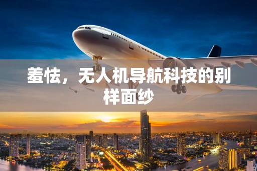 羞怯，无人机导航科技的别样面纱