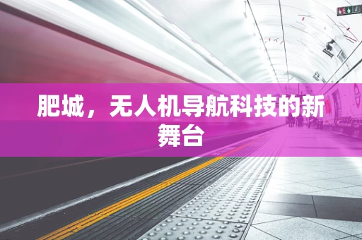 肥城，无人机导航科技的新舞台